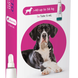 Bravecto Spot On Flea Treatment For Dogs
