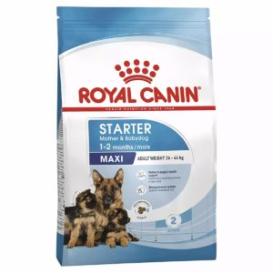 Royal Canin Dog Maxi Starter Mother and Babydog 15kg