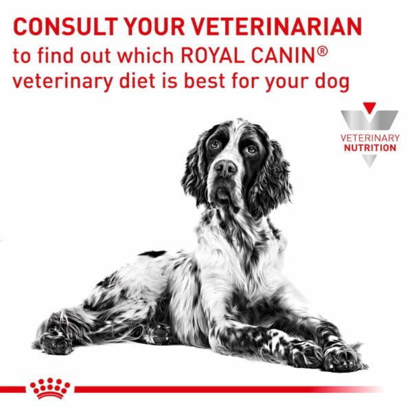 Royal Canin Dog Hypoallergenic - Image 2