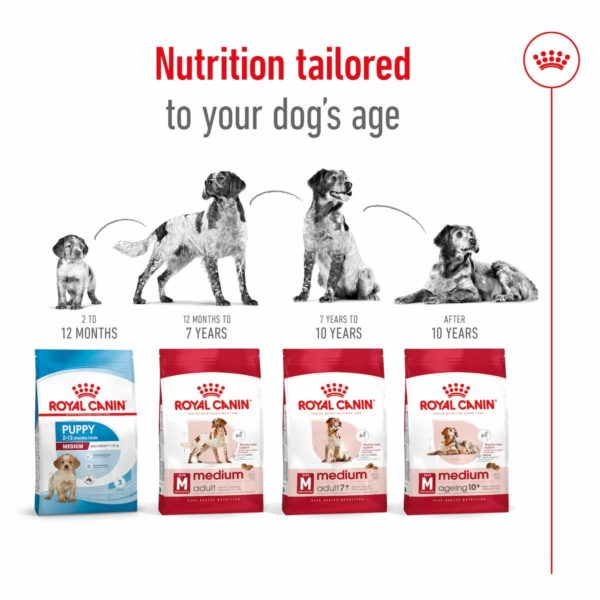 Royal Canin Dog Medium Adult - Image 5