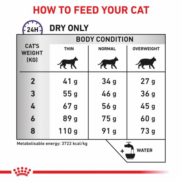 Royal Canin Feline Dental - Image 4