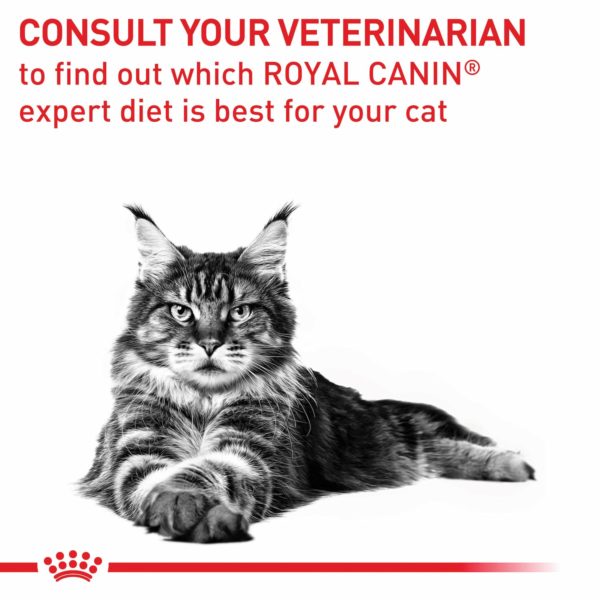 Royal Canin Feline Dental - Image 2
