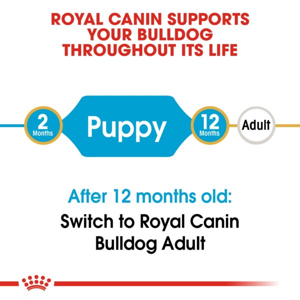 Royal Canin Breed Bulldog Puppy 12kg - Image 3