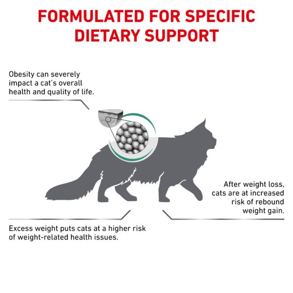 Royal Canin Feline Satiety Weight Management - Image 5