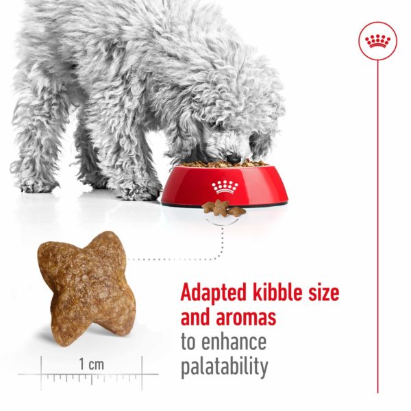 Royal Canin Dog Mini Adult 8+ - Image 10