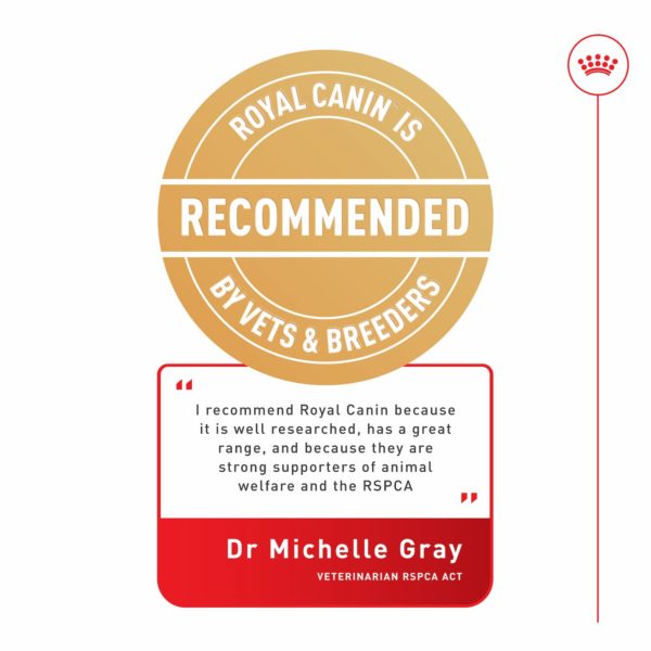 Royal Canin Dog Mini Adult 8+ - Image 12