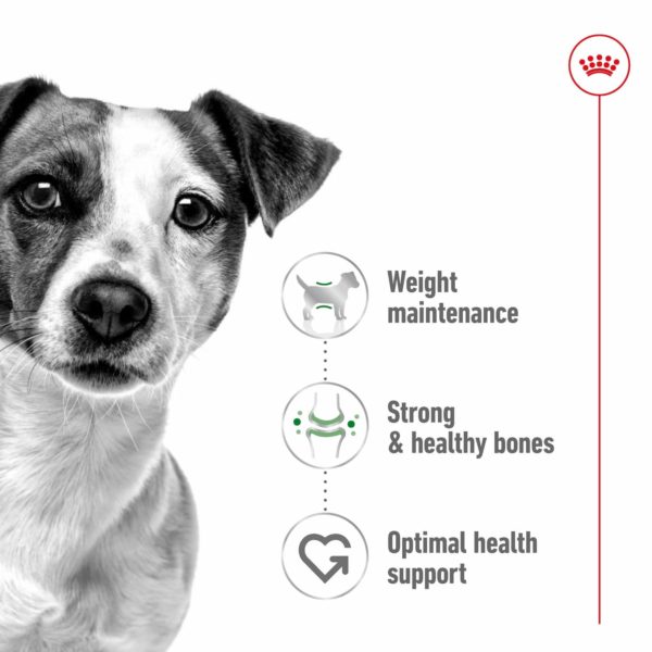 Royal Canin Dog Mini Adult - Image 12