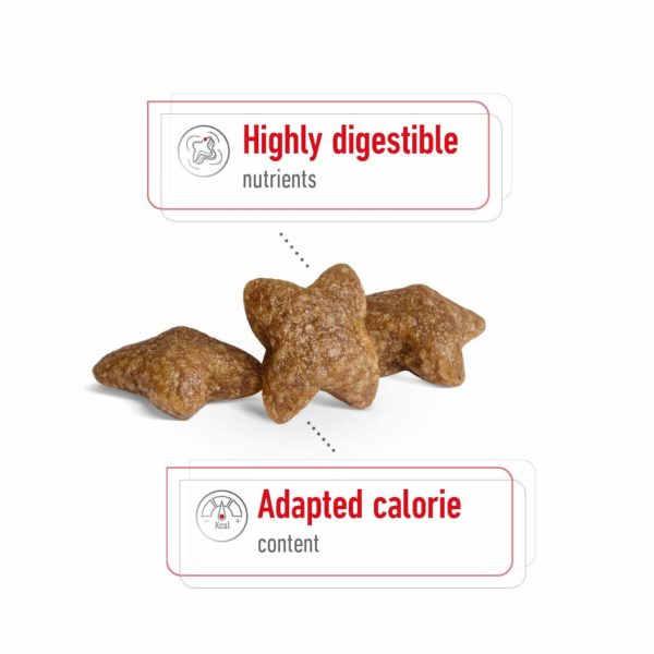 Royal Canin Dog Mini Adult 8+ - Image 11