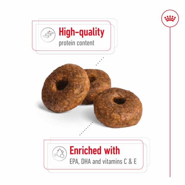 Royal Canin Dog Medium Ageing 10+ 3KG - Image 7