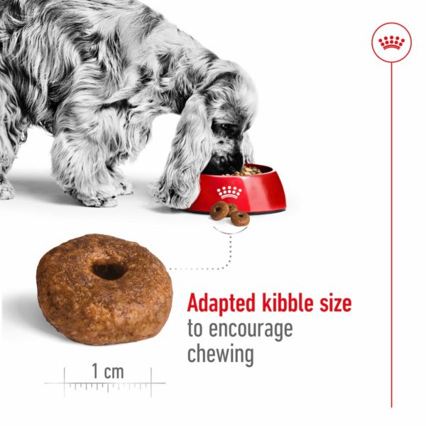 Royal Canin Dog Medium Ageing 10+ 3KG - Image 8