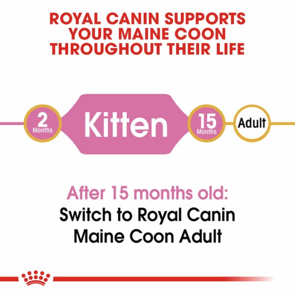 Royal Canin Breed Maine Coon Kitten 2kg - Image 3