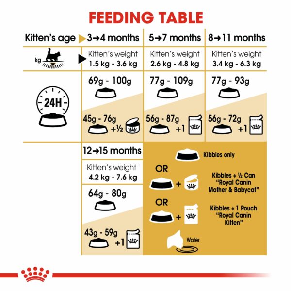 Royal Canin Breed Maine Coon Kitten 2kg - Image 2