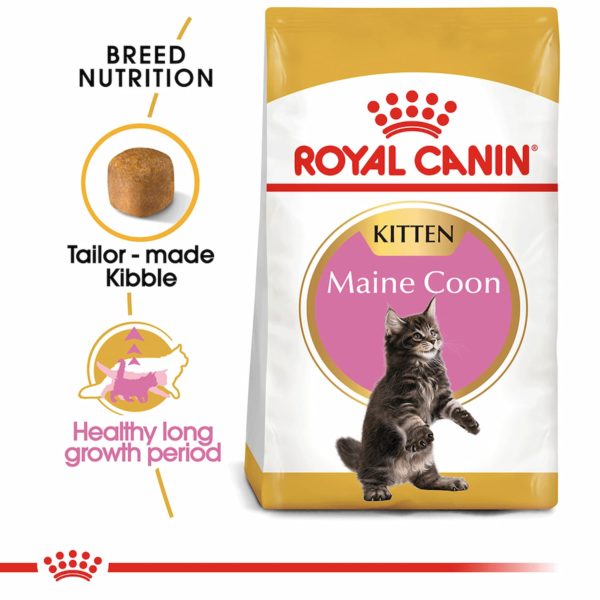 Royal Canin Breed Maine Coon Kitten 2kg - Image 4