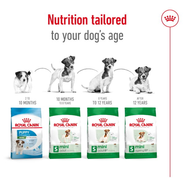 Royal Canin Dog Mini Adult 8+ - Image 8