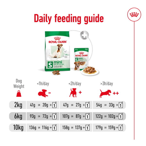 Royal Canin Dog Mini Adult 8+ - Image 6