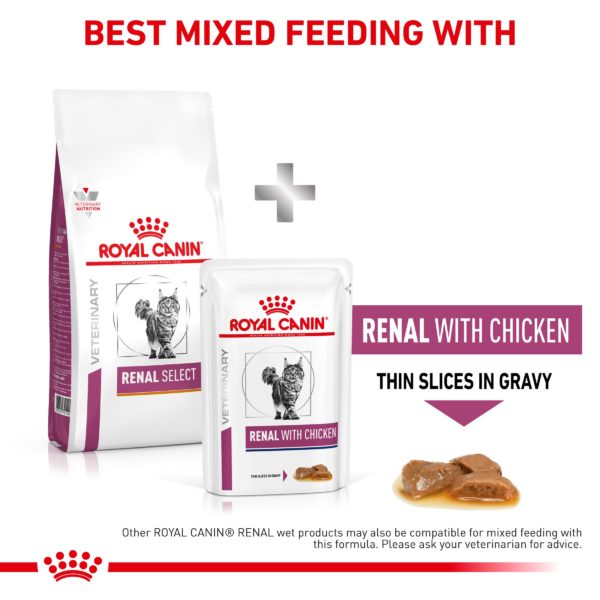 Royal Canin Feline Early Renal (Stage2) - Image 3