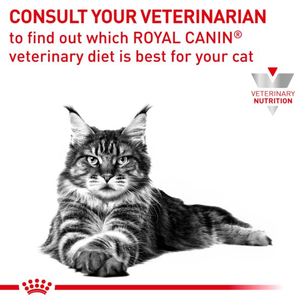 Royal Canin Feline Early Renal (Stage2) - Image 2