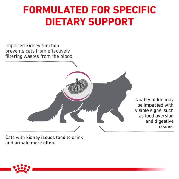 Royal Canin Feline Early Renal (Stage2) - Image 6