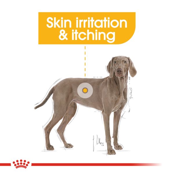 Royal Canin Dog Maxi Dermacomfort 12kg - Image 7