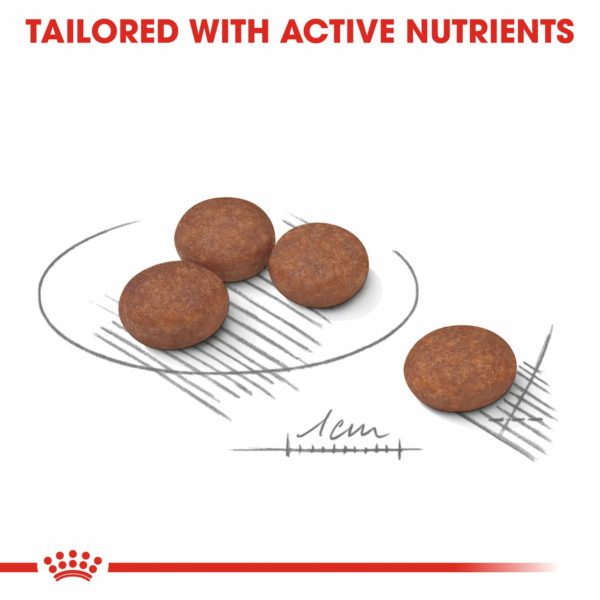 Royal Canin Dog Mini Digestive Care - Image 4