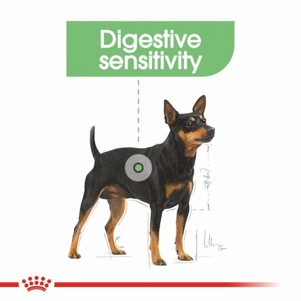 Royal Canin Dog Mini Digestive Care - Image 5