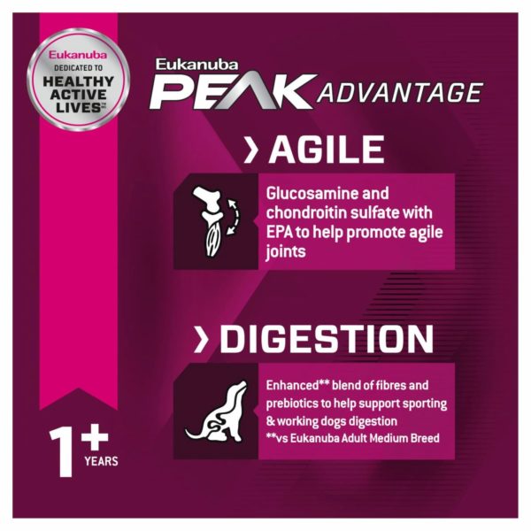 Eukanuba Premium Performance Exercise Dry Dog Food 26/16 15kg - Image 3