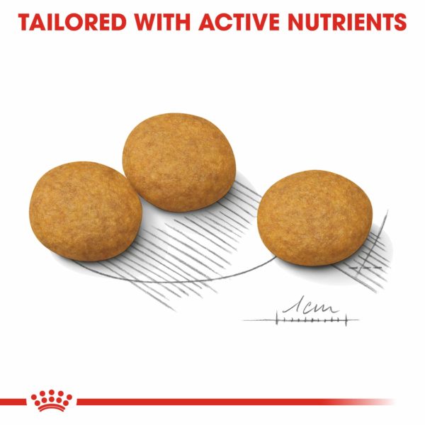 Royal Canin Dog Medium Dermacomfort - Image 6