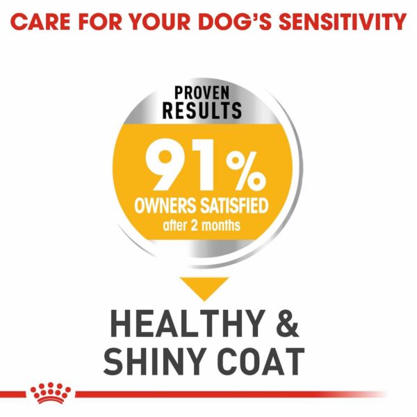Royal Canin Dog Medium Dermacomfort - Image 7