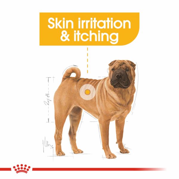 Royal Canin Dog Medium Dermacomfort - Image 5