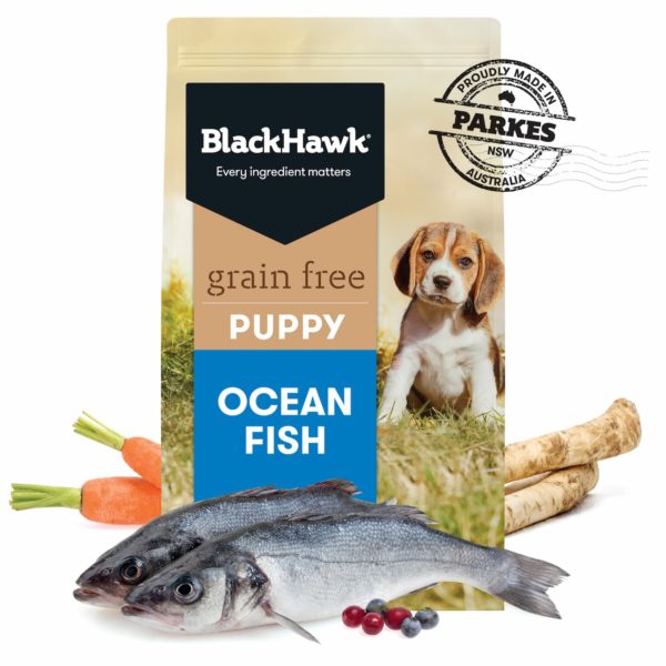 B/HwK Puppy Grn/Fr Ocean Fish