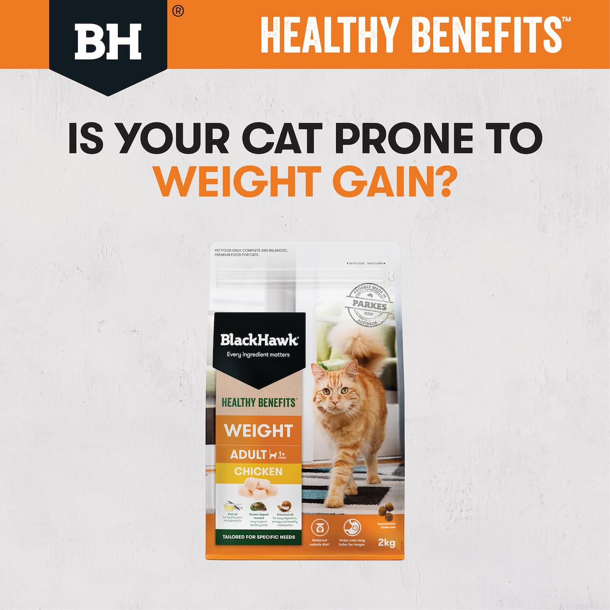 Black Hawk Healthy Benefits Cat Weight Chicken - Image 2