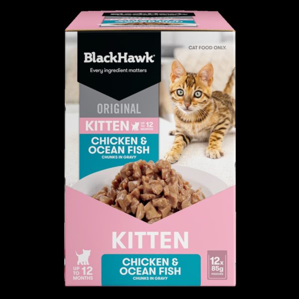 Black Hawk Original Kitten Chicken & Ocean Fish 85g - Image 5