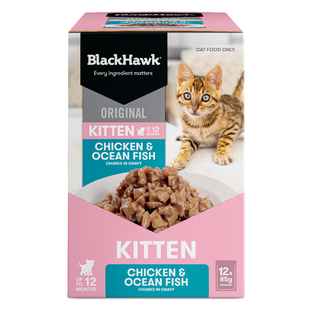 Black Hawk Original Kitten Chicken & Fish in Gravy Wet Cat Food - Image 3