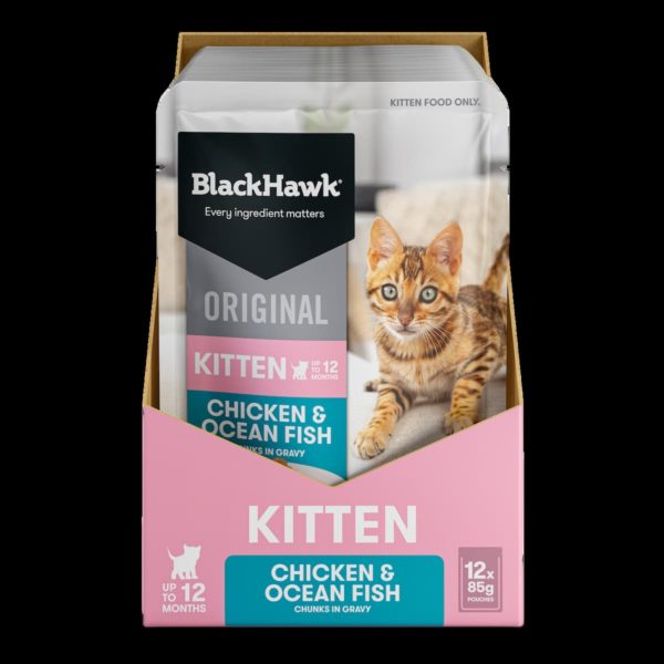 Black Hawk Original Kitten Chicken & Ocean Fish 85g