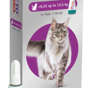 Bravecto Plus Spot On Treatment For Cats