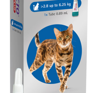 Bravecto Plus® Spot-On Flea, Tick & Worm Treatment for Cats (2.8–6.25 kg)
