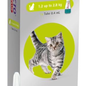Bravecto Plus® Spot-On Flea, Tick & Worm Treatment for Cats (1.2–2.8 kg)