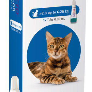 Bravecto Spot On Flea Treatment For Cats