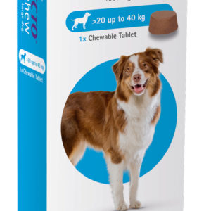 Bravecto® Flea & Tick Chew for Dogs (20–40 kg)