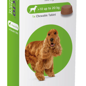 Bravecto® Flea & Tick Chew for Dogs (10–20 kg)