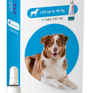 Bravecto® Spot-On Flea & Tick Treatment for Dogs (20–40 kg)