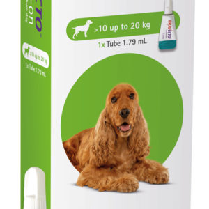 Bravecto® Spot-On Flea & Tick Treatment for Dogs (10–20 kg)