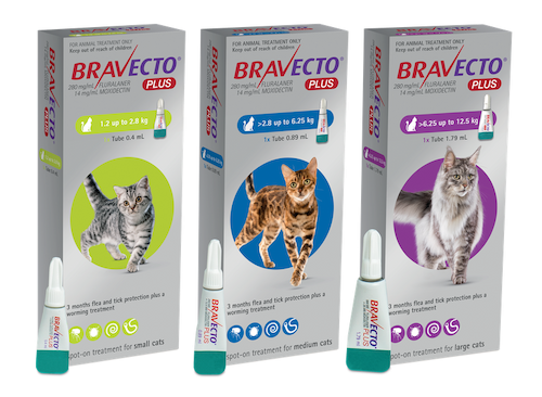 Bravecto Plus Spot-On Flea Tick & Worm Treatment for Cats