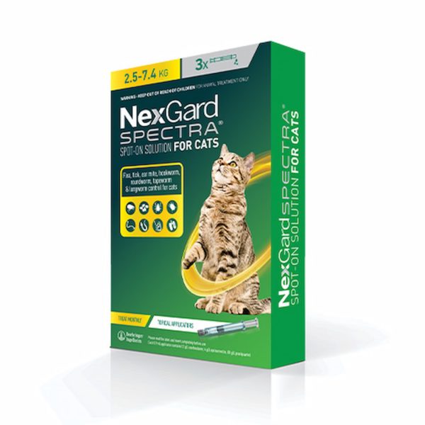 NEXGARD SPECTRA Spot-on Solution for Cats 1 Pack - Image 5