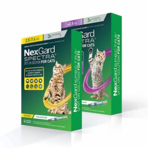 NEXGARD SPECTRA Spot-on Solution for Cats 1 Pack