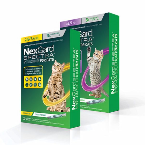 NEXGARD SPECTRA Spot-on Solution for Cats 1 Pack