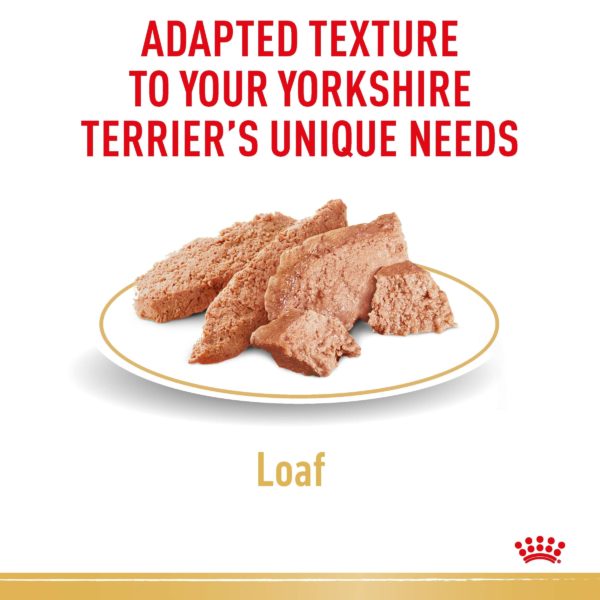 Royal Canin Yorkshire Terrier Loaf - Image 4