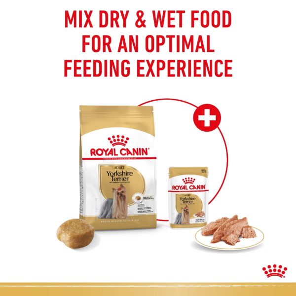 Royal Canin Yorkshire Terrier Loaf - Image 3