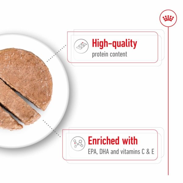 Royal Canin Veterinary Canine Medium Adult (12x410g) - Image 2