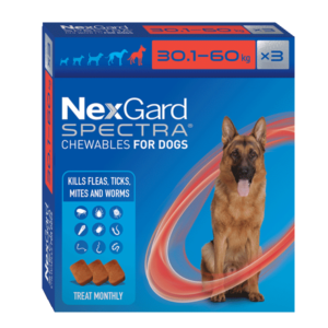 NexGard Spectra Flea, Tick & Worm Chewable (30.1–60 kg)